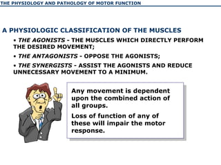 The physiology and pathology of motor function of human | PPT