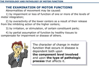The physiology and pathology of motor function of human | PPT