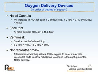 motor anatomy airway management | PDF