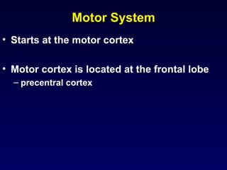 Motor System ,[object Object],[object Object],[object Object]