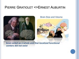 Pierre Gratiolet <>Ernest AuburtinBrain Size and Volumebrain acted as a whole and that localized functional centers did not exist