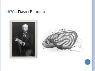 1870 - David Ferrier