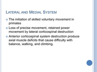 Lateral and Medial SystemThe initiation of skilled voluntary movement in primatesLoss of precise movement, retained power movement by lateral corticospinal destructionAnterior corticospinal system destruction produce axial muscle deficits that cause difficulty with balance, walking, and climbing. 