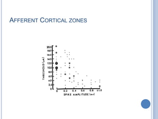 Afferent Cortical zones