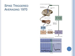 Spike Triggered Averaging 1970