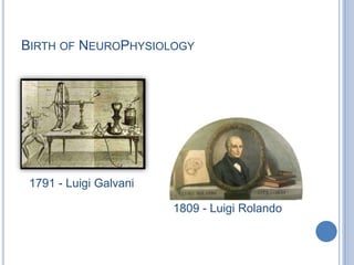 Birth of NeuroPhysiology1791 - Luigi Galvani 1809 - Luigi Rolando