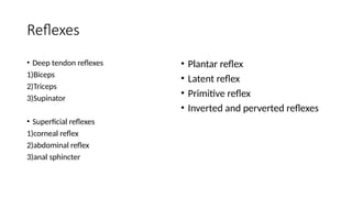 Inverted Reflex Motor System Examination.pptx usuful for ept | PPTX
