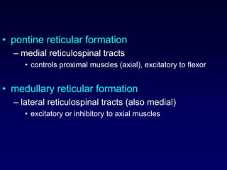 • pontine reticular formation
– medial reticulospinal tracts
• controls proximal muscles (axial), excitatory to flexor
• medullary reticular formation
– lateral reticulospinal tracts (also medial)
• excitatory or inhibitory to axial muscles
 