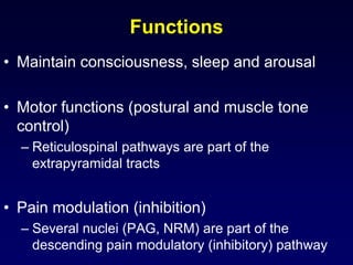 Functions
• Maintain consciousness, sleep and arousal
• Motor functions (postural and muscle tone
control)
– Reticulospinal pathways are part of the
extrapyramidal tracts
• Pain modulation (inhibition)
– Several nuclei (PAG, NRM) are part of the
descending pain modulatory (inhibitory) pathway
 