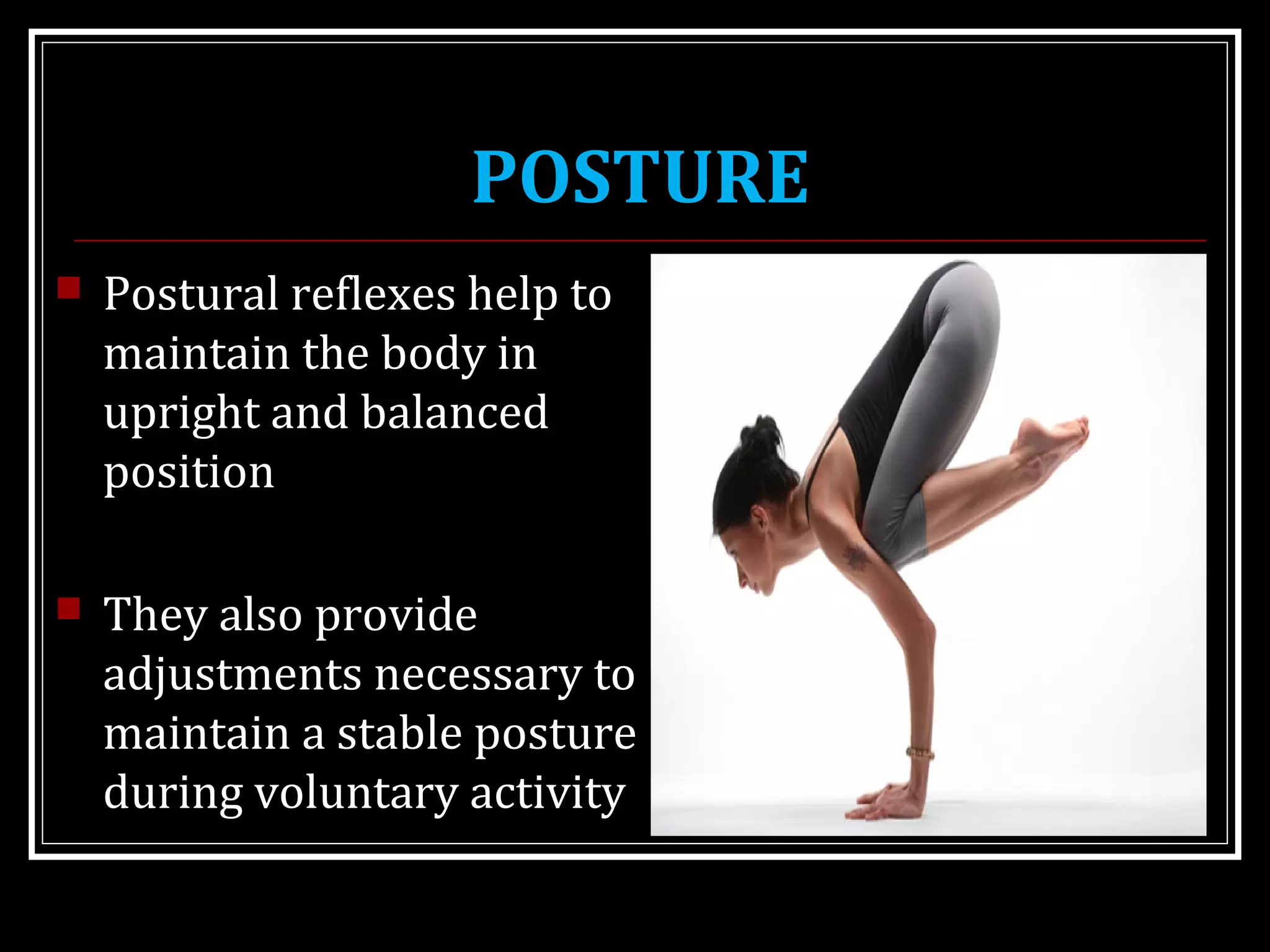 MOTOR SYSTEM IV REGULATION OF POSTURE | PPT
