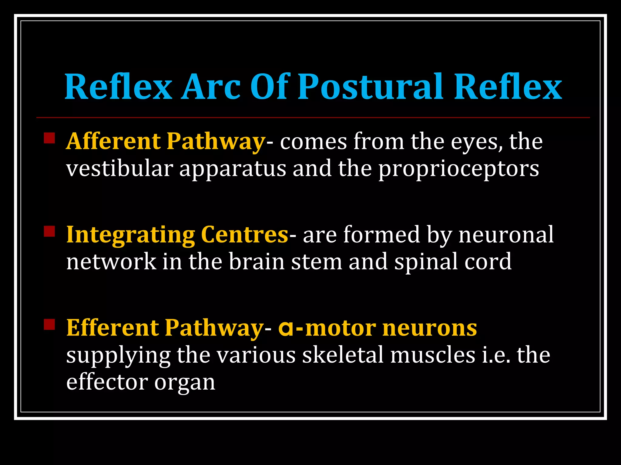 MOTOR SYSTEM IV REGULATION OF POSTURE | PPT