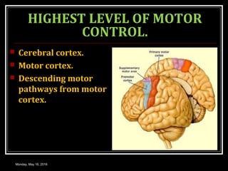 HIGHEST LEVEL OF MOTOR
CONTROL.
 Cerebral cortex.
 Motor cortex.
 Descending motor
pathways from motor
cortex.
Monday, May 16, 2016
 
