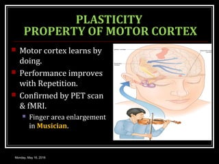PLASTICITY
PROPERTY OF MOTOR CORTEX
 Motor cortex learns by
doing.
 Performance improves
with Repetition.
 Confirmed by PET scan
& fMRI.
 Finger area enlargement
in Musician.
Monday, May 16, 2016
 