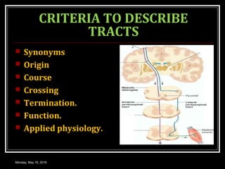 CRITERIA TO DESCRIBE
TRACTS
 Synonyms
 Origin
 Course
 Crossing
 Termination.
 Function.
 Applied physiology.
Monday, May 16, 2016
 