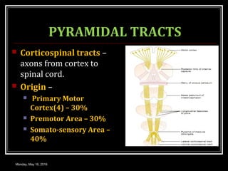 PYRAMIDAL TRACTS
 Corticospinal tracts –
axons from cortex to
spinal cord.
 Origin –
 Primary Motor
Cortex(4) – 30%
 Premotor Area – 30%
 Somato-sensory Area –
40%
Monday, May 16, 2016
 