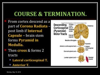 COURSE & TERMINATION.
 From cortex descend as a
part of Corona Radiata –
post limb if Internal
Capsule – brain stem
forms Pyramid in
Medulla.
 Then cross & forms 2
tracts
 Lateral corticospinal T.
 Anterior T.
Monday, May 16, 2016
 