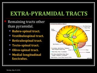 EXTRA-PYRAMIDAL TRACTS
 Remaining tracts other
than pyramidal.
 Rubro-spinal tract.
 Vestibulospinal tract.
 Reticulospinal tract.
 Tecto-spinal tract.
 Olivo-spinal tract.
 Medial longitudinal
fasciculus.
Monday, May 16, 2016
 