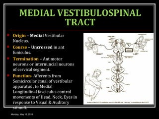 MEDIAL VESTIBULOSPINAL
TRACT
 Origin – Medial Vestibular
Nucleus.
 Course – Uncrossed in ant
funiculus.
 Termination – Ant motor
neurons or internuncial neurons
of cervical segment.
 Function- Afferents from
Semicircular canal of vestibular
apparatus , to Medial
Longitudinal fasciculus control
movements of Head, Neck, Eyes in
response to Visual & Auditory
stimuli.
Monday, May 16, 2016
 