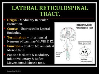 LATERAL RETICULOSPINAL
TRACT.
 Origin – Medullary Reticular
Formation.
 Course – Uncrossed in Lateral
funiculus.
 Termination – Internuncial
Neurons of Laminae VII,VIII & IX.
 Function – Control Movements &
Muscle tone.
 Pontine facilitate & medullary
inhibit voluntary & Reflex
Movements & Muscle tone.
Monday, May 16, 2016
 