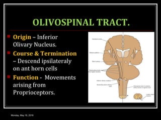 OLIVOSPINAL TRACT.
 Origin – Inferior
Olivary Nucleus.
 Course & Termination
– Descend ipsilateraly
on ant horn cells
 Function - Movements
arising from
Proprioceptors.
Monday, May 16, 2016
 