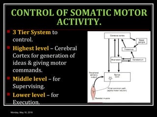 CONTROL OF SOMATIC MOTOR
ACTIVITY.
 3 Tier System to
control.
 Highest level – Cerebral
Cortex for generation of
ideas & giving motor
commands.
 Middle level – for
Supervising.
 Lower level – for
Execution.
Monday, May 16, 2016
 