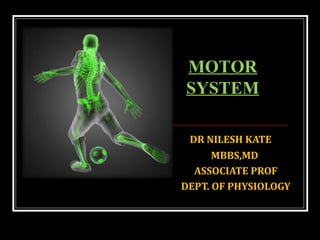 MOTOR SYSTEM MOTOR TRACTS | PPT