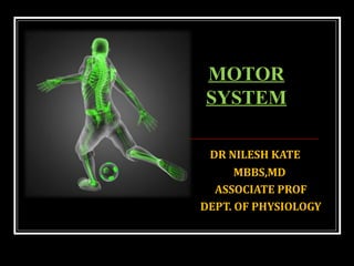 DR NILESH KATE
MBBS,MD
ASSOCIATE PROF
DEPT. OF PHYSIOLOGY
MOTOR
SYSTEM
 