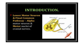 Motor system of human being-Part 1.drjma.pdf