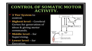 Motor system of human being-Part 1.drjma.pdf