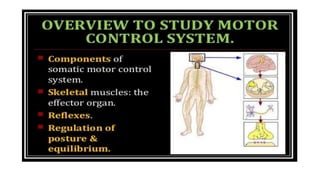 Motor system of human being-Part 1.drjma.pdf