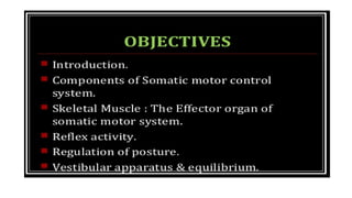 Motor system of human being- PART 2..drjma.pdf