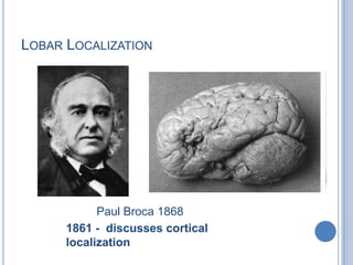 Lobar LocalizationPaul Broca 18681861 -  discusses cortical localization