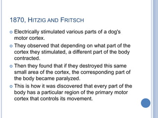 1870, Hitzig and FritschElectrically stimulated various parts of a dog's motor cortex. They observed that depending on what part of the cortex they stimulated, a different part of the body contracted. Then they found that if they destroyed this same small area of the cortex, the corresponding part of the body became paralyzed. This is how it was discovered that every part of the body has a particular region of the primary motor cortex that controls its movement. 