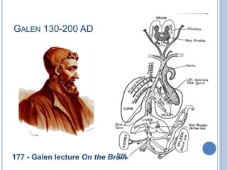 Galen 130-200 AD177 - Galen lecture On the Brain