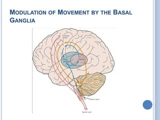 Modulation of Movement by the Basal Ganglia