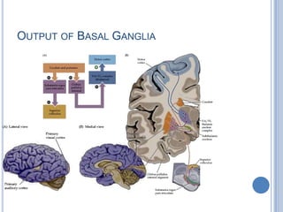 Output of Basal Ganglia