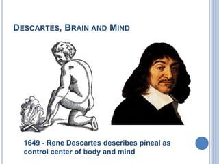 Descartes, Brain and Mind1649 - Rene Descartes describes pineal as control center of body and mind
