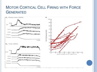 Motor Cortical Cell Firing with Force Generated
