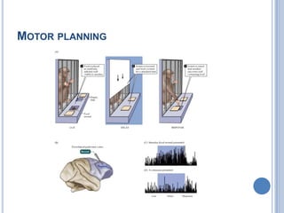 Motor planning