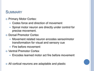 SummaryPrimary Motor Cortex:Codes force and direction of movementSpinal motor neuron are directly under control for precise movement.Dorsal Premotor CortexMovement related neuron encodes sensorimotor transformation for visual and sensory cueFire before movementVentral Premotor CortexEncodes learned motor act fire before movementAll cortical neurons are adaptable and plastic