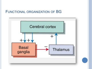 Functional organization of BG
