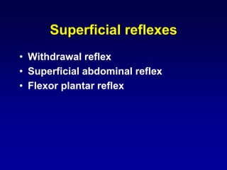 Superficial reflexes
• Withdrawal reflex
• Superficial abdominal reflex
• Flexor plantar reflex
 