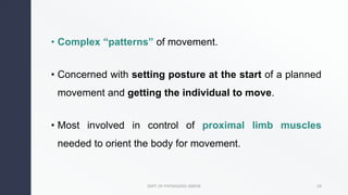 Transitional Movement Patterns Motor System Student Handout 08.05.23.pdf