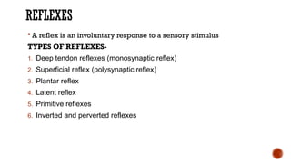 Inverted Reflex Comprehensive Motor System Examination: Techniques and Clinical ...