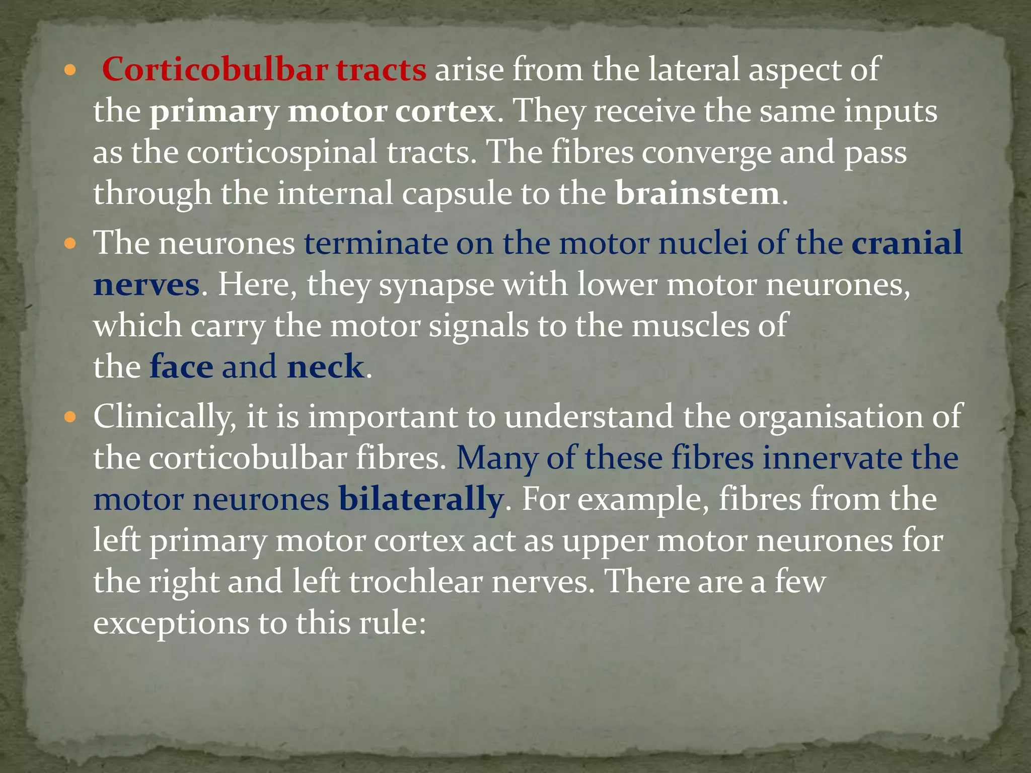  Corticobulbar tracts arise from the lateral aspect of
the primary motor cortex. They receive the same inputs
as the corticospinal tracts. The fibres converge and pass
through the internal capsule to the brainstem.
 The neurones terminate on the motor nuclei of the cranial
nerves. Here, they synapse with lower motor neurones,
which carry the motor signals to the muscles of
the face and neck.
 Clinically, it is important to understand the organisation of
the corticobulbar fibres. Many of these fibres innervate the
motor neurones bilaterally. For example, fibres from the
left primary motor cortex act as upper motor neurones for
the right and left trochlear nerves. There are a few
exceptions to this rule:
 