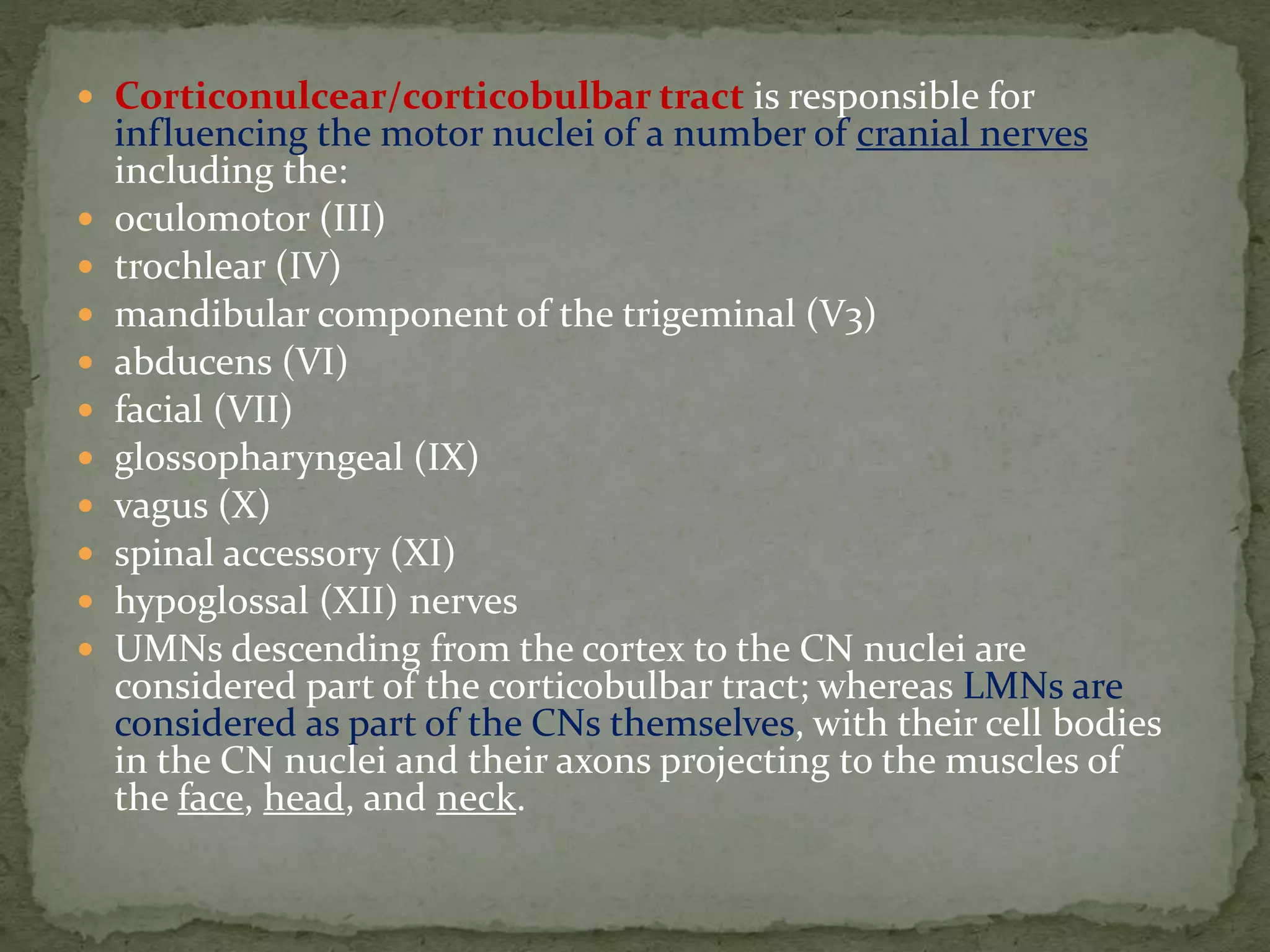  Corticonulcear/corticobulbar tract is responsible for
influencing the motor nuclei of a number of cranial nerves
including the:
 oculomotor (III)
 trochlear (IV)
 mandibular component of the trigeminal (V3)
 abducens (VI)
 facial (VII)
 glossopharyngeal (IX)
 vagus (X)
 spinal accessory (XI)
 hypoglossal (XII) nerves
 UMNs descending from the cortex to the CN nuclei are
considered part of the corticobulbar tract; whereas LMNs are
considered as part of the CNs themselves, with their cell bodies
in the CN nuclei and their axons projecting to the muscles of
the face, head, and neck.
 