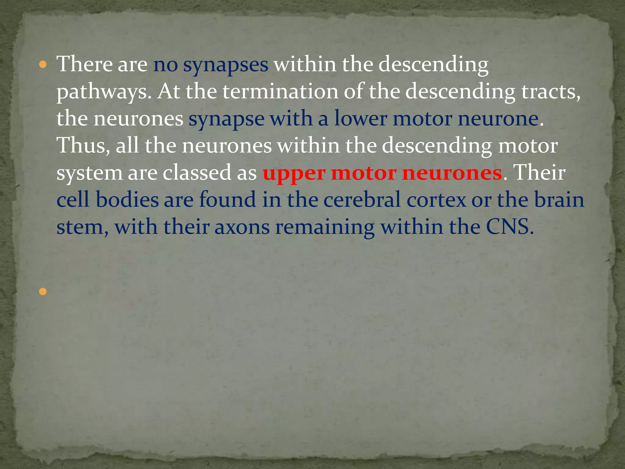  There are no synapses within the descending
pathways. At the termination of the descending tracts,
the neurones synapse with a lower motor neurone.
Thus, all the neurones within the descending motor
system are classed as upper motor neurones. Their
cell bodies are found in the cerebral cortex or the brain
stem, with their axons remaining within the CNS.

 