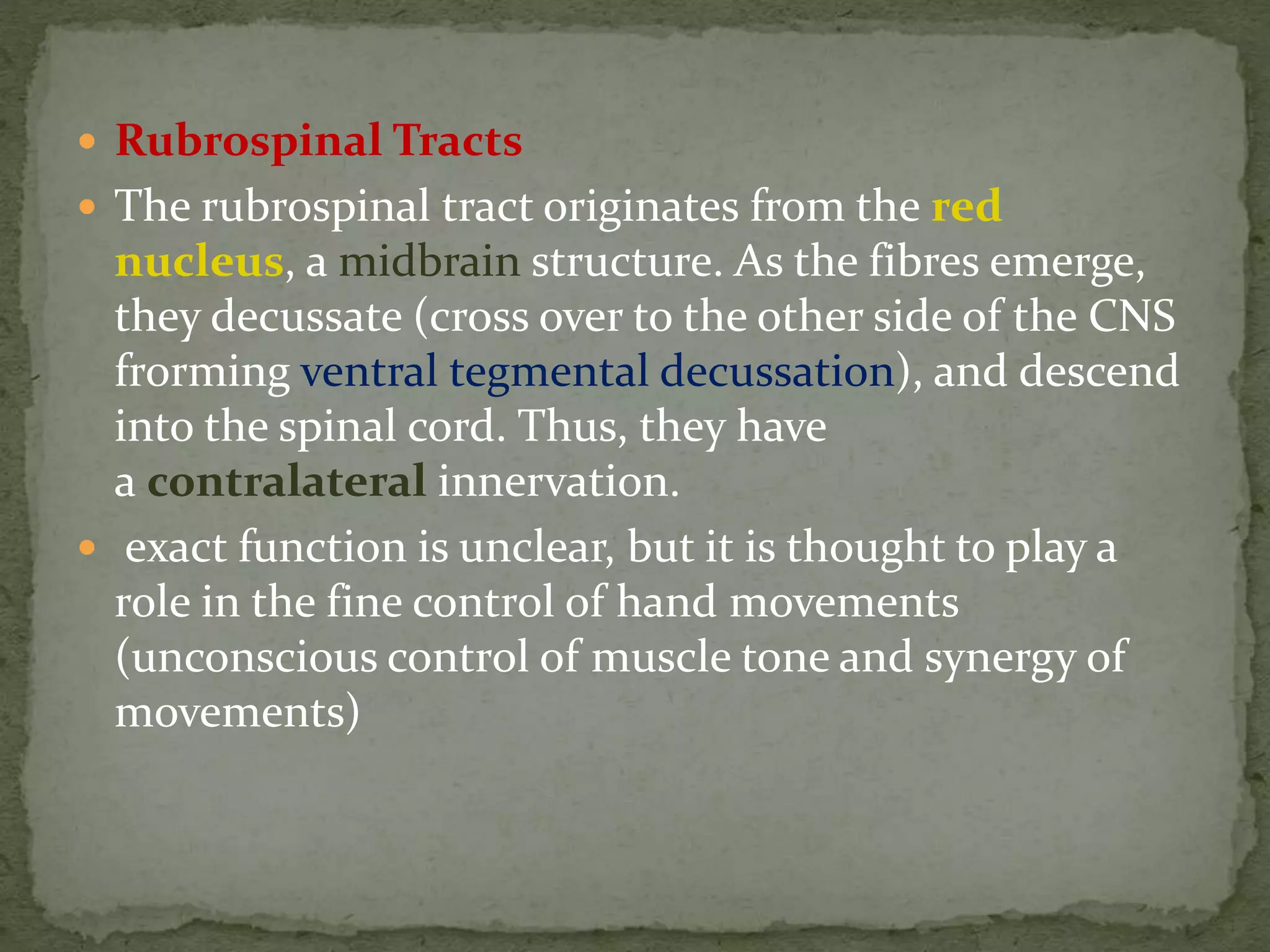  Rubrospinal Tracts
 The rubrospinal tract originates from the red
nucleus, a midbrain structure. As the fibres emerge,
they decussate (cross over to the other side of the CNS
frorming ventral tegmental decussation), and descend
into the spinal cord. Thus, they have
a contralateral innervation.
 exact function is unclear, but it is thought to play a
role in the fine control of hand movements
(unconscious control of muscle tone and synergy of
movements)
 