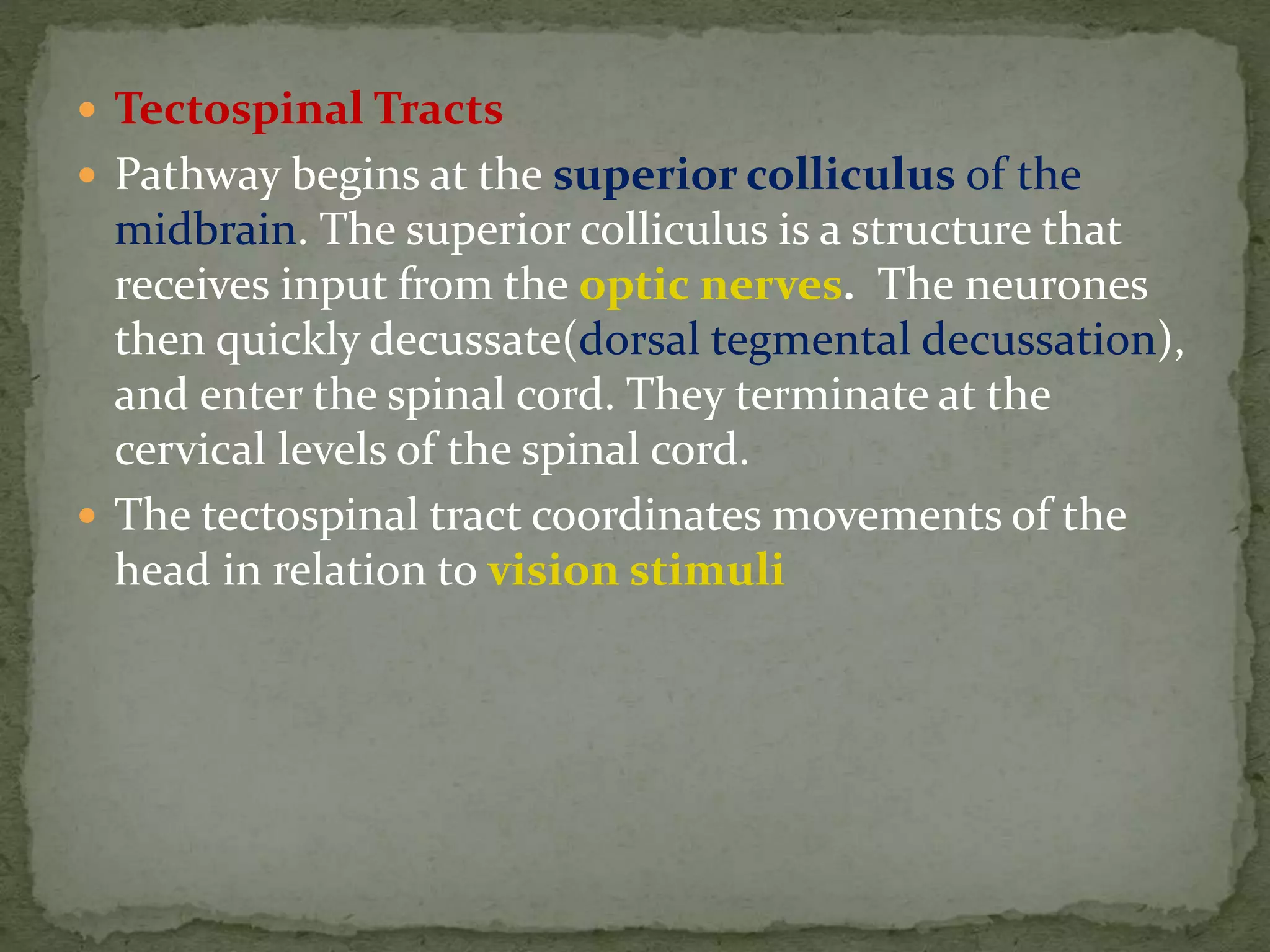  Tectospinal Tracts
 Pathway begins at the superior colliculus of the
midbrain. The superior colliculus is a structure that
receives input from the optic nerves. The neurones
then quickly decussate(dorsal tegmental decussation),
and enter the spinal cord. They terminate at the
cervical levels of the spinal cord.
 The tectospinal tract coordinates movements of the
head in relation to vision stimuli
 