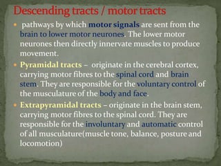Motor tracts of brain and spinal cord | PPTX
